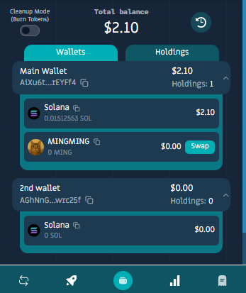 Roo extension displaying total portfolio balance across multiple wallets